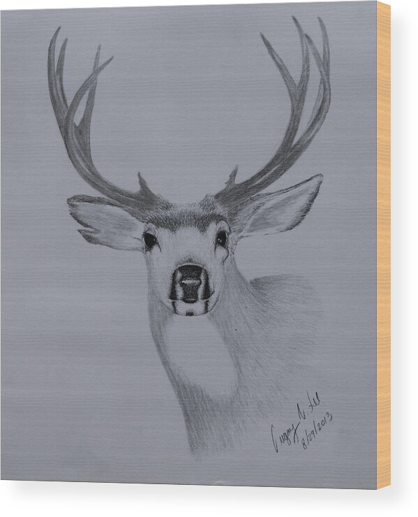 Mule Wood Print featuring the drawing Mule Deer III by Gregory Lee
