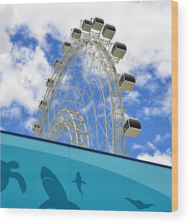 Sea Life Wood Print featuring the photograph Sea Life and the Orlando Eye by David Lee Thompson