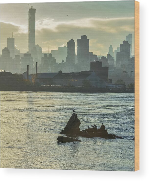 Skyline Wood Print featuring the photograph NYC skiline by Micha Dziekonski