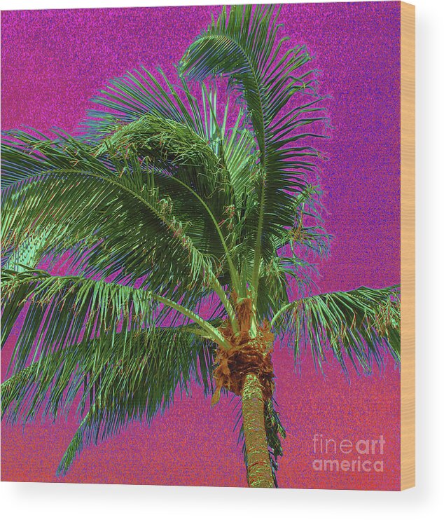 Palm Tree Wood Print featuring the photograph Palm 1012 by Corinne Carroll