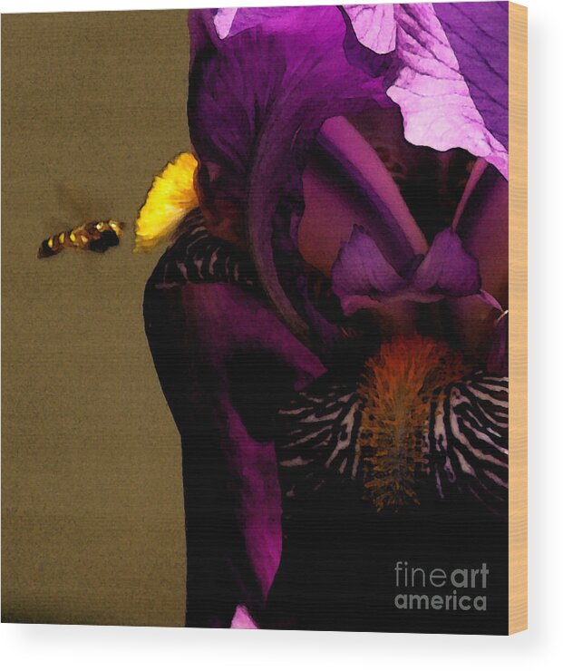 Bee Wood Print featuring the photograph Pheromone by Linda Shafer