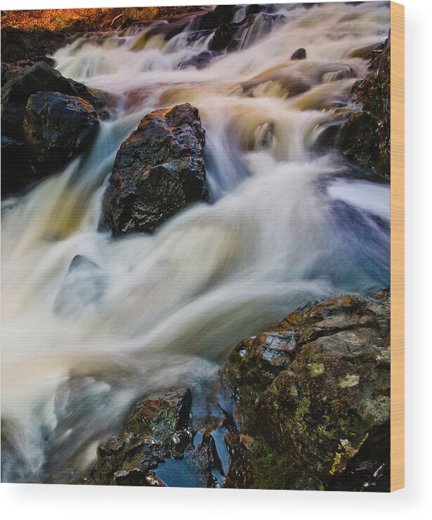 Troy Wood Print featuring the photograph River Dance by Neil Shapiro