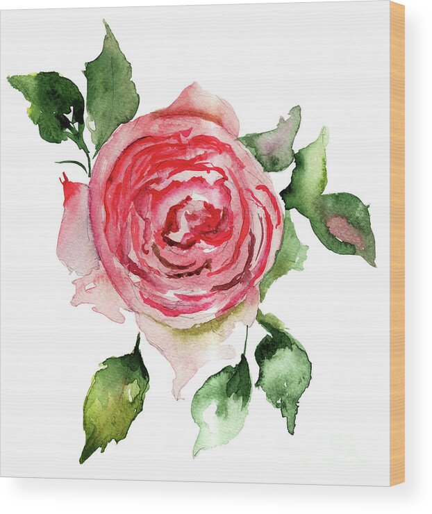 Watercolor; Painting; Wallpaper; Flowers; Floral; Spring; Ornament; Leaf; Brochure; Graphic; Blossom; Camomile; Bloom; Card; Revival; Daisy; Illustration; Decorative; Retro; Postcard; Plant; Paper; Invitation; Art; Valentine; Vintage; Style; Branch; Nature; Daisy; Gerber Wood Print featuring the painting Rose flower by Regina Jershova