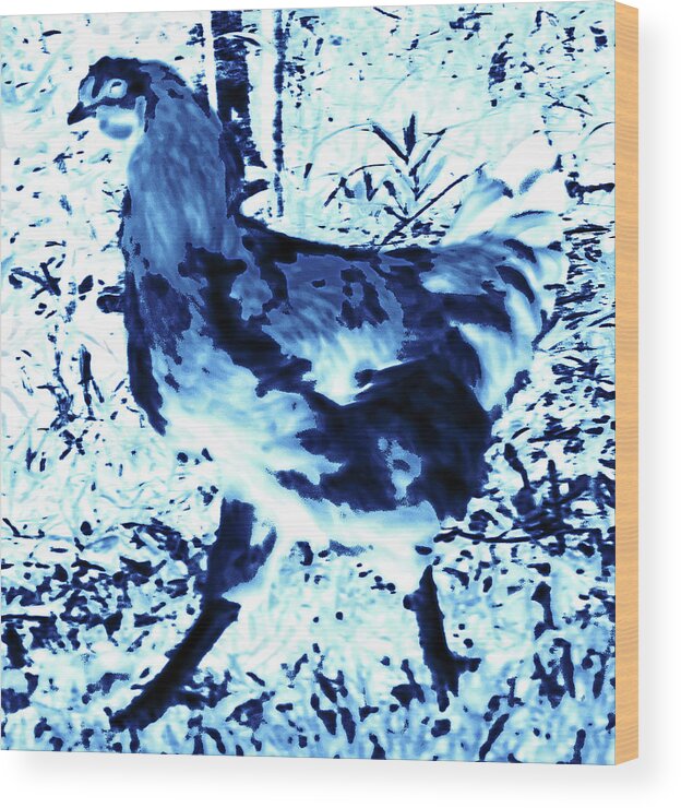 Rooster Wood Print featuring the photograph Got Legs by Gina O'Brien