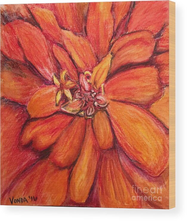 Macro Wood Print featuring the drawing Star Flower by Vonda Lawson-Rosa