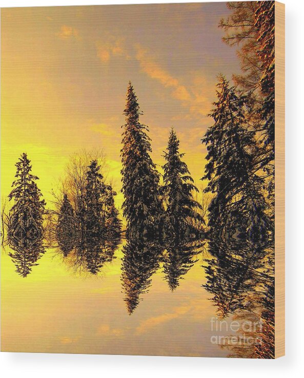 Fir Wood Print featuring the photograph The Light by Elfriede Fulda