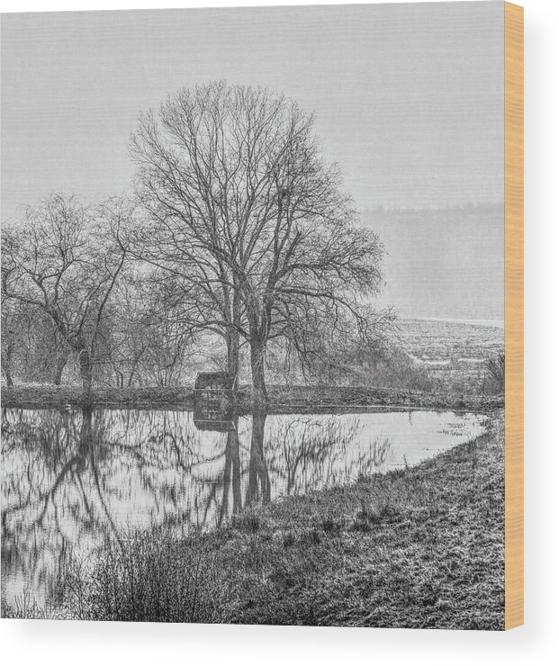 Black And White Wood Print featuring the photograph Trees in fog Kennebunk Maine by David Smith