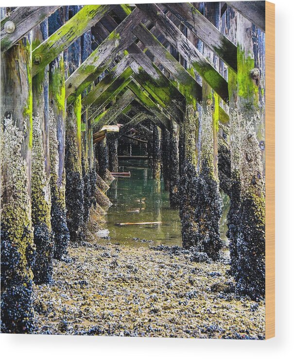 Ocean Wood Print featuring the photograph Under The Boardwalk by Rand Ningali