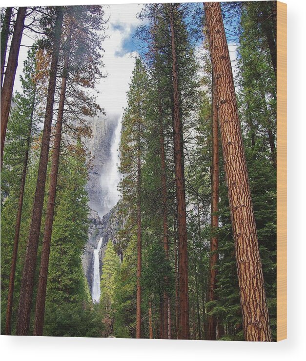 Yosemite Falls Wood Print featuring the photograph Yosemite Falls A by Phyllis Spoor