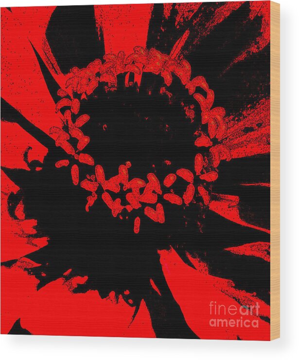 Zinnia Wood Print featuring the photograph Zinnia Crown by Jeanette French