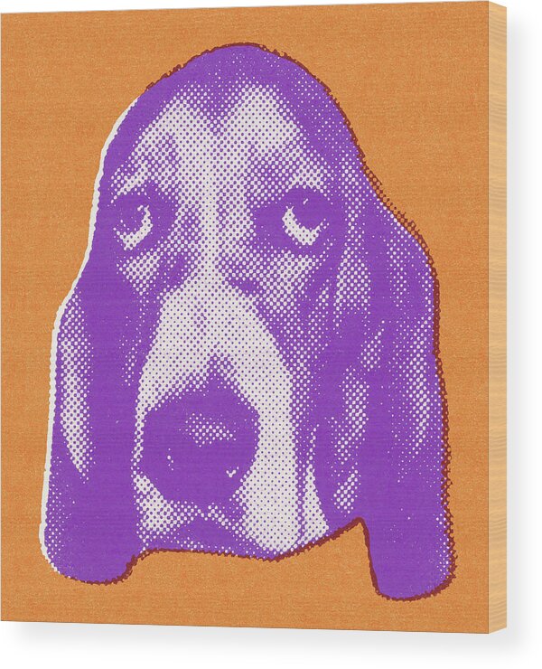 Animal Wood Print featuring the drawing Basset Hound #1 by CSA Images