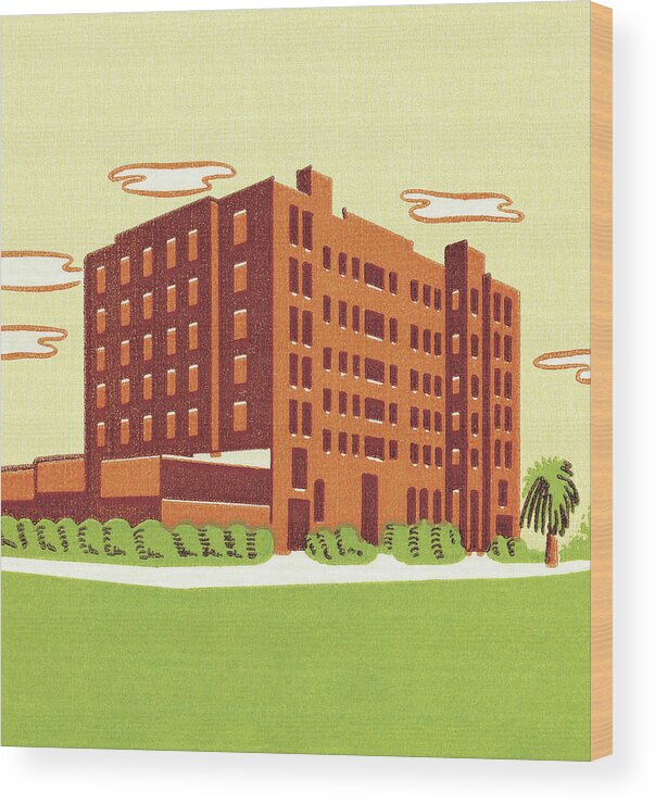 Apartment Wood Print featuring the drawing Building #2 by CSA Images