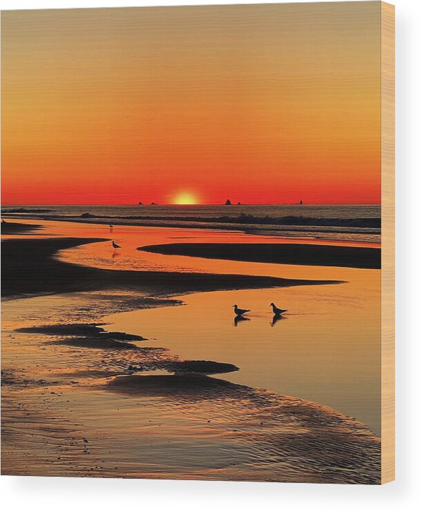 Ocean Wood Print featuring the photograph Break Of Day by Hua Tang