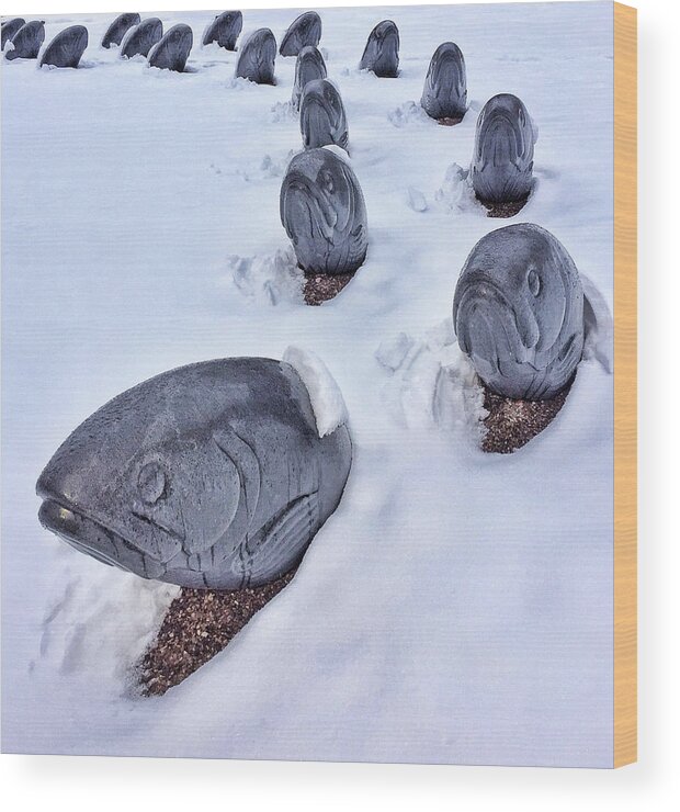Fish Wood Print featuring the photograph Fish in Snow by Candy Brenton