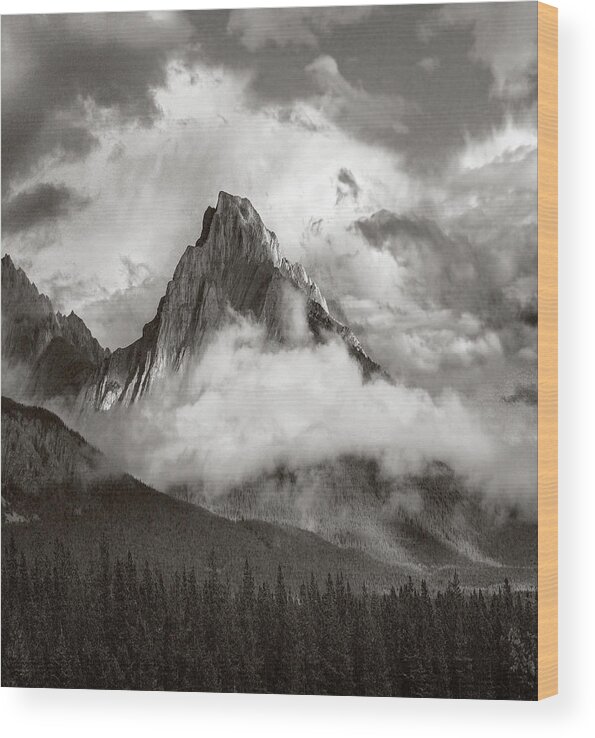 00591266 Wood Print featuring the photograph Opal Range Surrounded By Fog Alberta by Tim Fitzharris