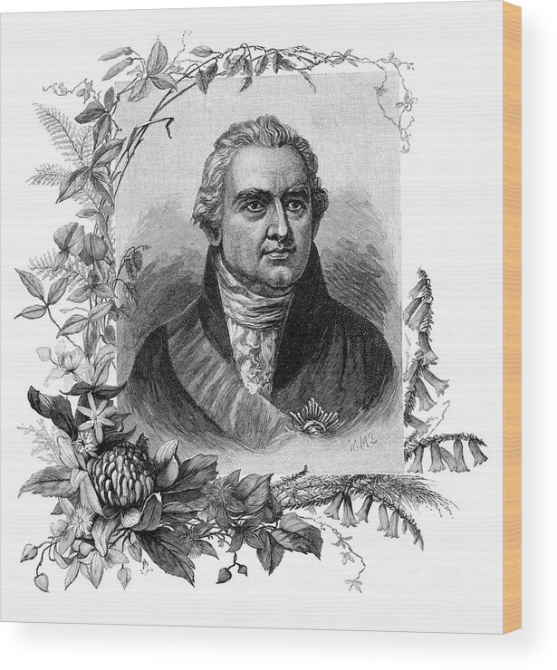 Engraving Wood Print featuring the drawing Sir Joseph Banks, English Naturalist by Print Collector