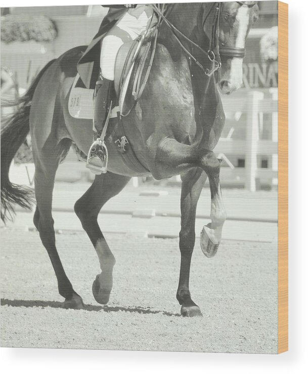 Arena Wood Print featuring the photograph Ultimate by Dressage Design