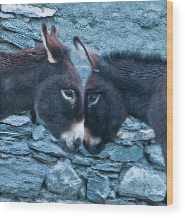 Burro Wood Print featuring the photograph Eye To Eye, Nose To Nose, Heart To Heart by Leslie Struxness