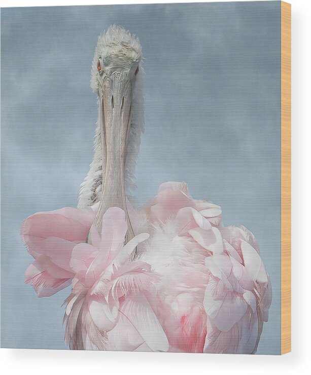 Pink Wood Print featuring the photograph A Roseate Spoonbill #1 by Sylvia Goldkranz