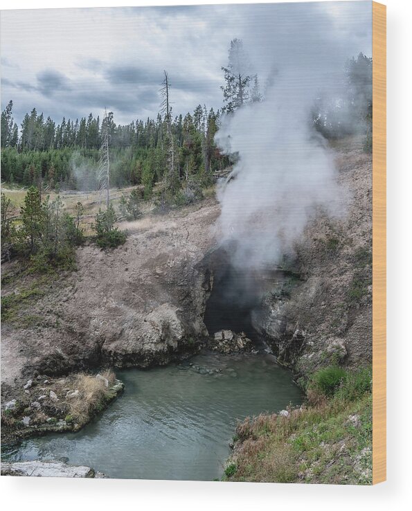 Usa Wood Print featuring the photograph Hot Spring And Geiser In Yellowstone National Par #7 by Alex Grichenko