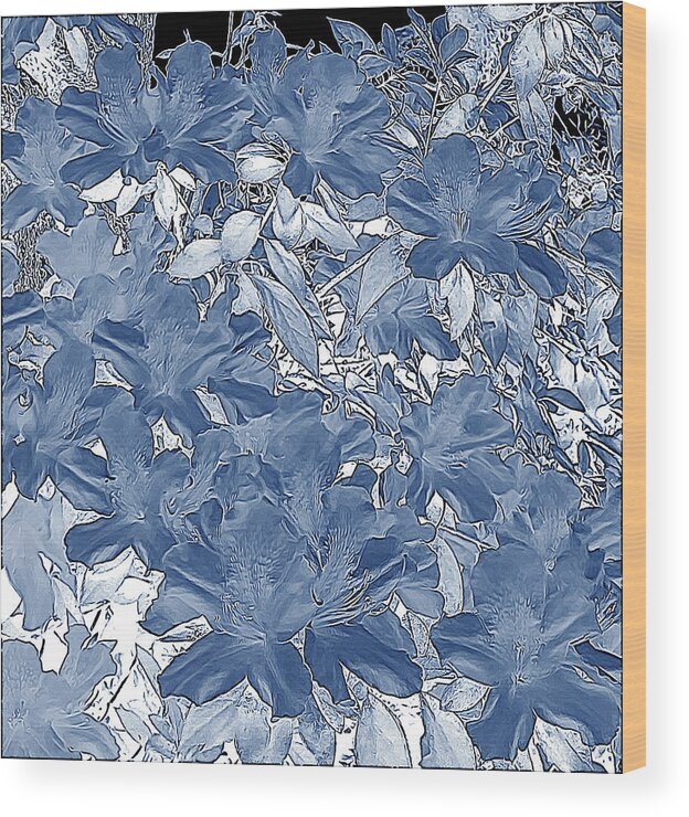 Photography Wood Print featuring the digital art Azalea Blooms - Painted Gray with Sepia Tones - Color Invert by Marian Bell