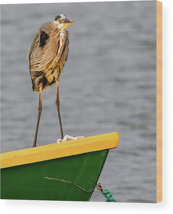 Pei Wood Print featuring the photograph Bad Hair Day in the Harbor by Marcy Wielfaert