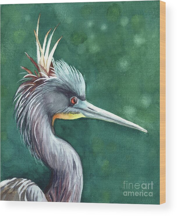 Bird Tri-colored Heron Wood Print featuring the painting Bad Hair Day by Vicki B Littell