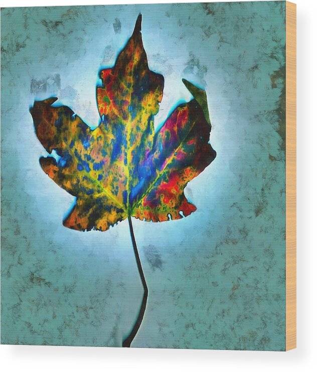 Leaf Wood Print featuring the mixed media Colorful Leaf by Christopher Reed