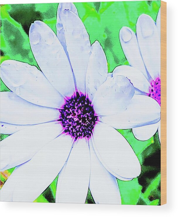 Close Up Of A Daisy Wood Print featuring the photograph Daisy by Meghan Gallagher