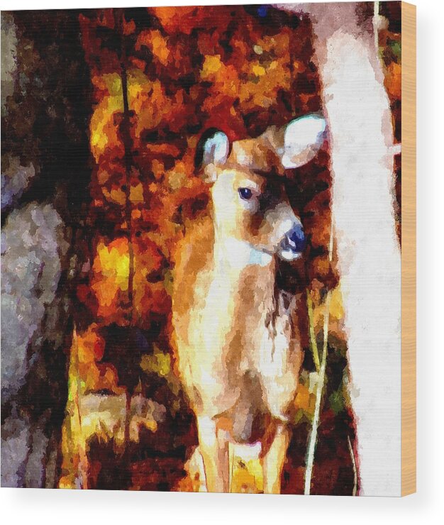 Deer Wood Print featuring the mixed media Deer in the Woods by Christopher Reed