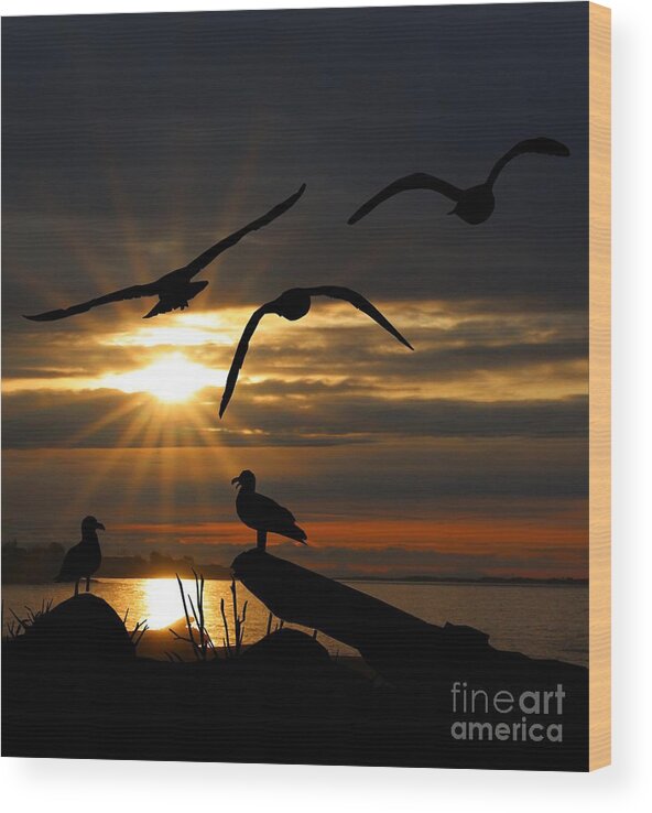 Seagulls Wood Print featuring the mixed media Silhouetted Seagulls by Kimberly Furey