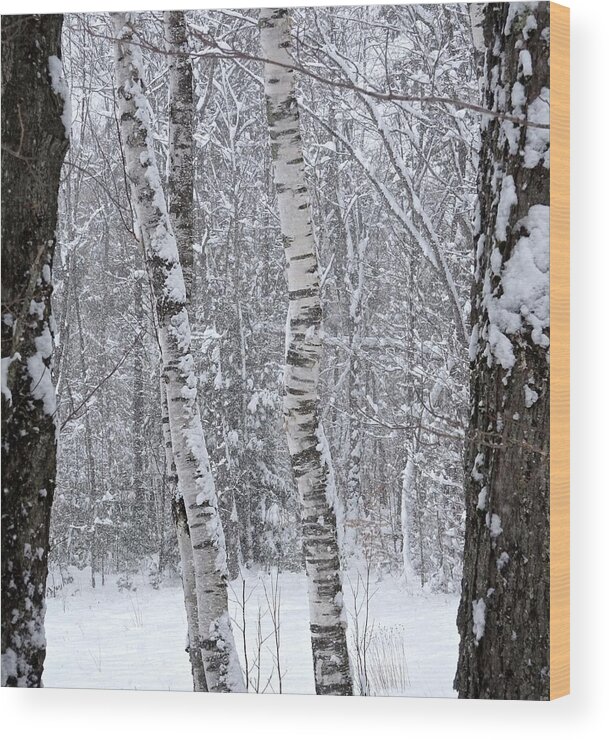 Nature Wood Print featuring the photograph The Spirit's Residence by Catherine Arcolio
