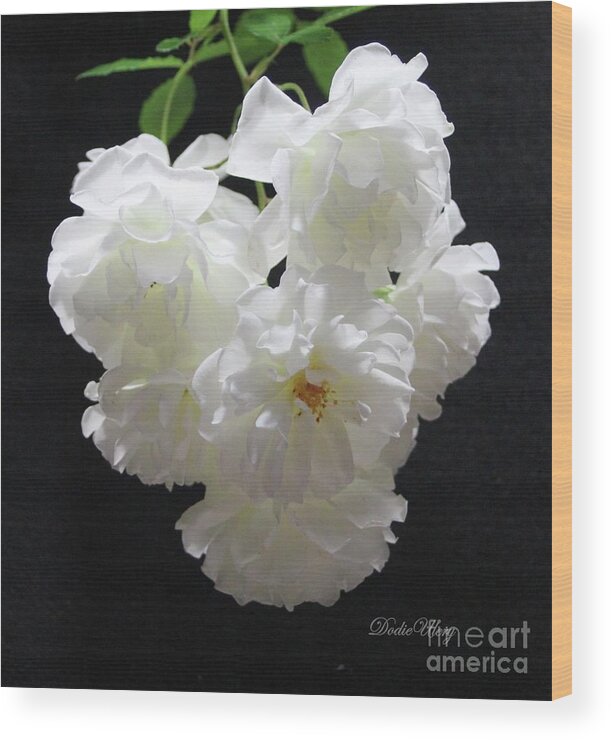 Botanical Wood Print featuring the photograph White Roses by Dodie Ulery