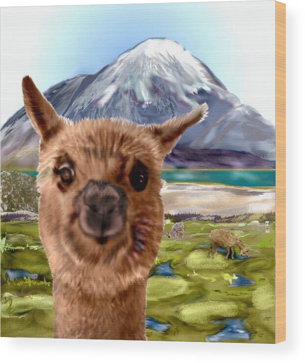 Yogi Alpaca Mountains Alpacas Close Up Wood Print featuring the mixed media Yogi by Pamela Calhoun