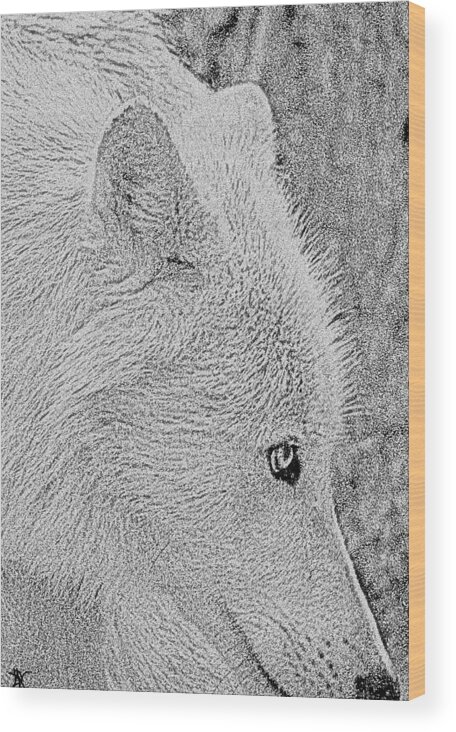 Gentle Arctic Wolf Wood Print featuring the digital art Gentle Arctic Wolf by Debra   Vatalaro