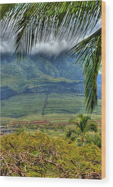 Landscape Wood Print featuring the photograph Maui Foot Hills by Arthur Fix