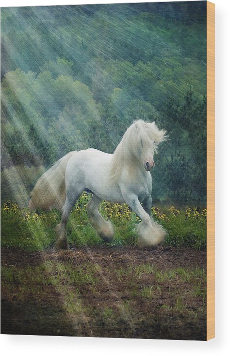 Horse Photographs Wood Print featuring the photograph Billy Rays by Fran J Scott