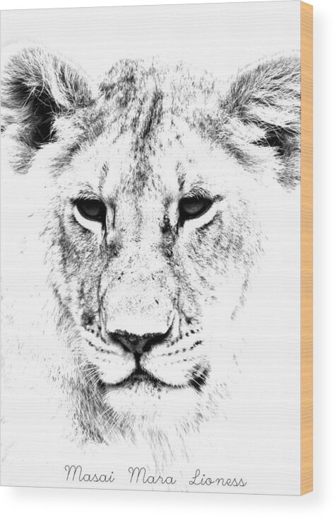 Lion Wood Print featuring the photograph Lion Portrait #1 by Aidan Moran