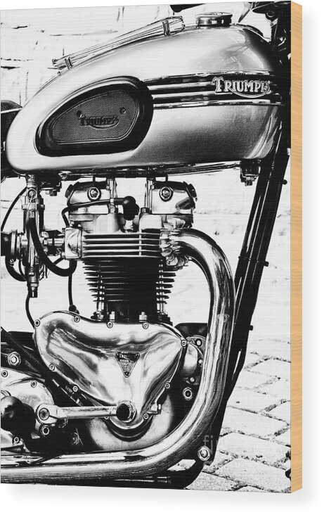 Triumph Tiger T110 Wood Print featuring the photograph Triumph Tiger T110 Motorcycle Monochrome by Tim Gainey