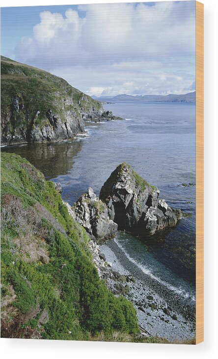 00141376 Wood Print featuring the photograph Cape Horn National Park by Tui de Roy