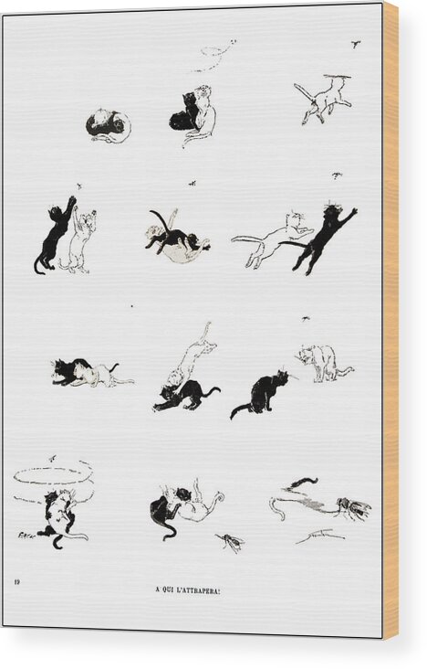 Cats- Pictures Without Words' 1897 Theophile Alexandre Steinlen 2 Wood Print featuring the painting Pictures without Words by MotionAge Designs