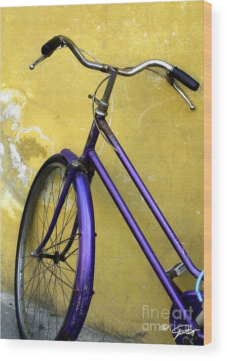 Bicycle Wood Print featuring the photograph Bicicletta Lucca Italy #2 by Joanne West