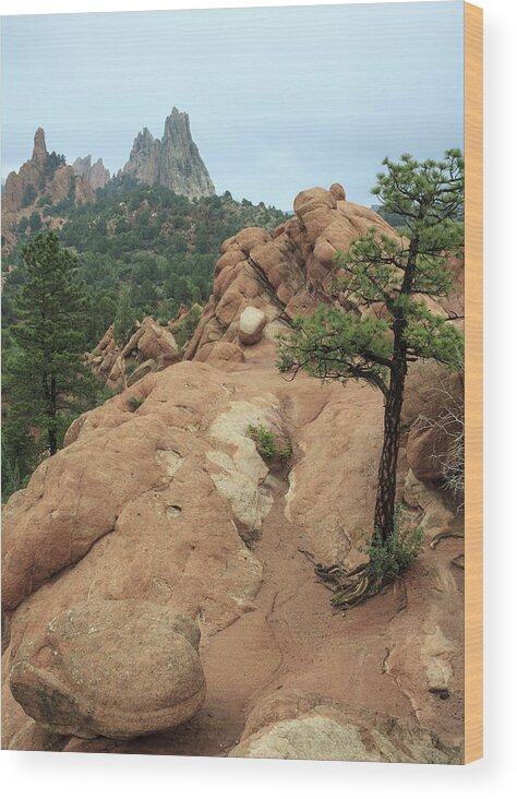 American West Wood Print featuring the photograph Garden of the Gods at Daybreak #2 by Richard Smith