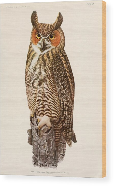 Great Horned Owl Wood Print featuring the painting Great Horned Owl #2 by Dreyer Wildlife Print Collections 