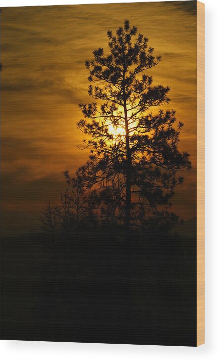 Sunrise Wood Print featuring the photograph Natures Ballad #2 by Loni Collins