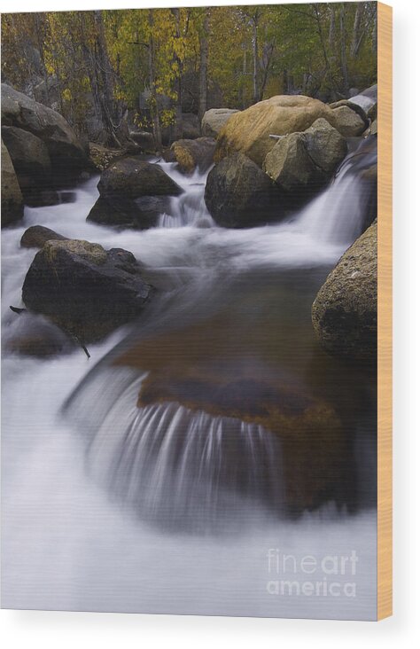 Stream Wood Print featuring the photograph Cascading Stream #4 by John Shaw