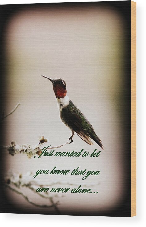 Hummingbird Wood Print featuring the photograph Hummingbird - Card #2 by Travis Truelove