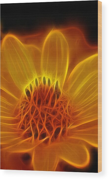 Fractal Wood Print featuring the photograph Fractal Flower #5 by Prince Andre Faubert