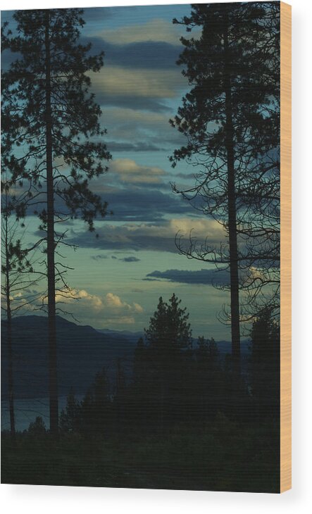 Landscape Wood Print featuring the photograph Landscape #5 by Loni Collins