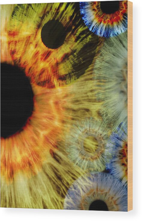 Eye Wood Print featuring the photograph Human eyes #6 by Science Photo Library